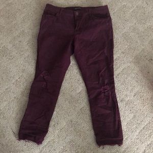 Express maroon jeans